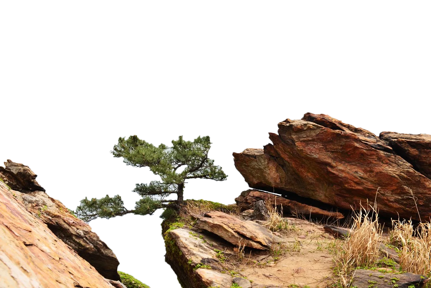 Erweijian Houyuntai Mountain u6d77u4e0au4e91u53f0u5c71 Xiadong, Yuntai Mountain Pine, landscape, grass, rock png